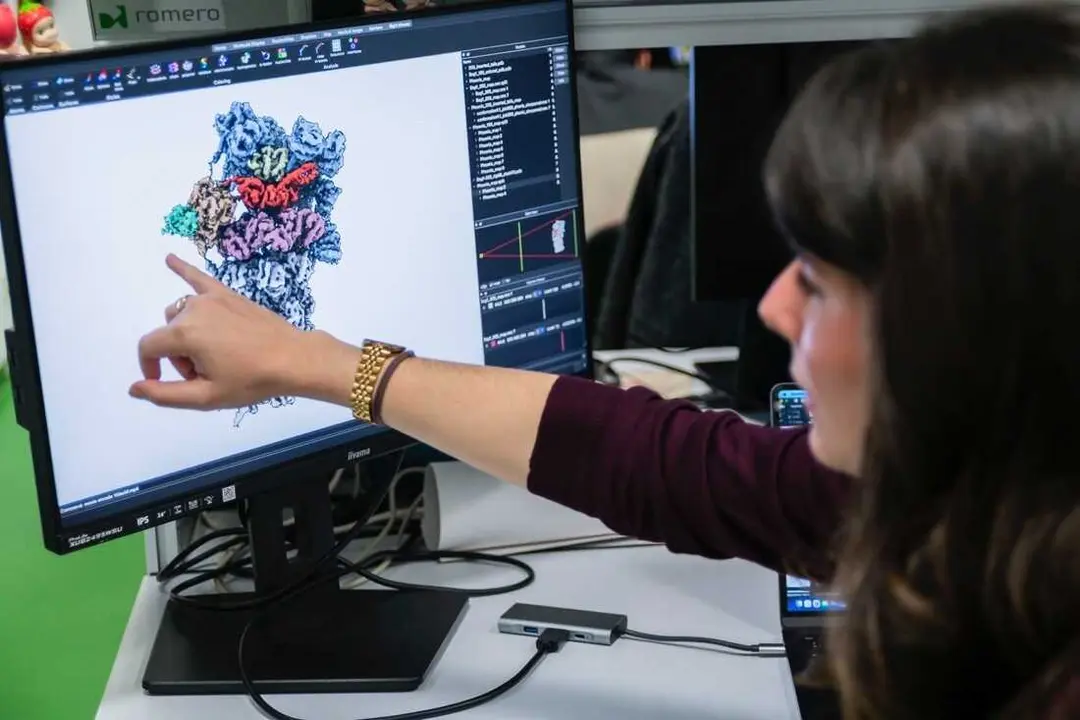 Hallan un mecanismo que permite a las c&eacute;lulas degradar prote&iacute;nas sin consumir energ&iacute;a, &uacute;til en alternativas terap&eacute;uticas