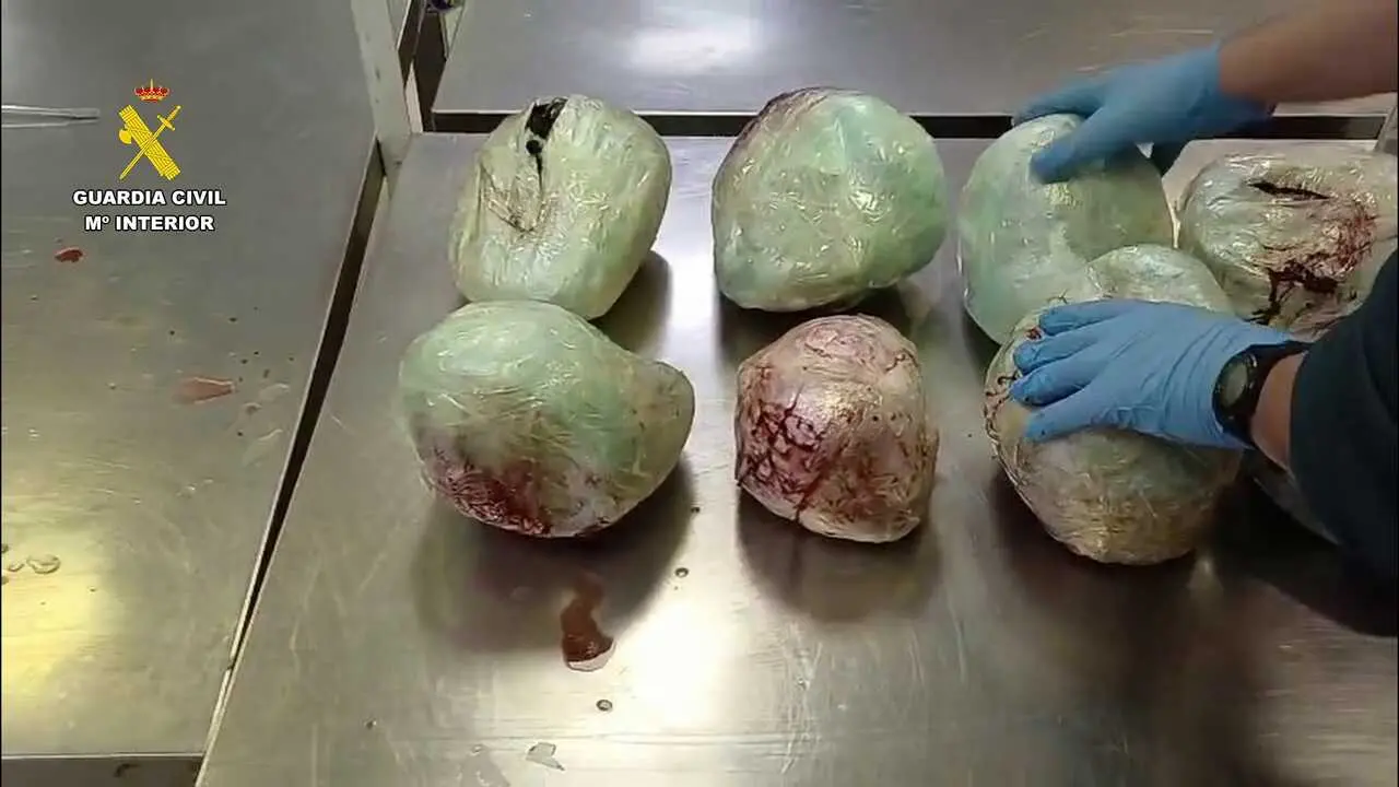 Varios ejemplares de pangol&iacute;n muertos encontrados en el aeropuerto Adolfo Su&aacute;res-Madrid Barajas en una maleta procedente de Etiop&iacute;a.