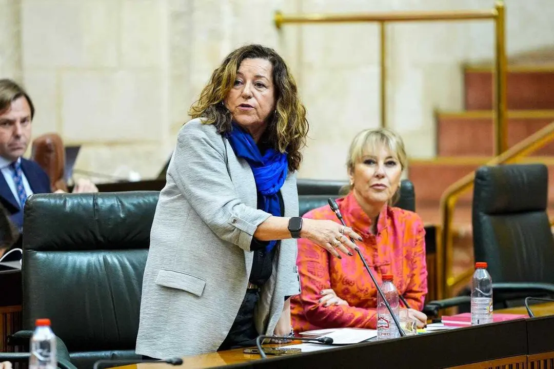 La consejera de Desarrollo Educativo y Formaci&oacute;n Profesional, Mar&iacute;a del Carmen Castillo, en el Pleno del Parlamento del 26 de febrero de 2026.