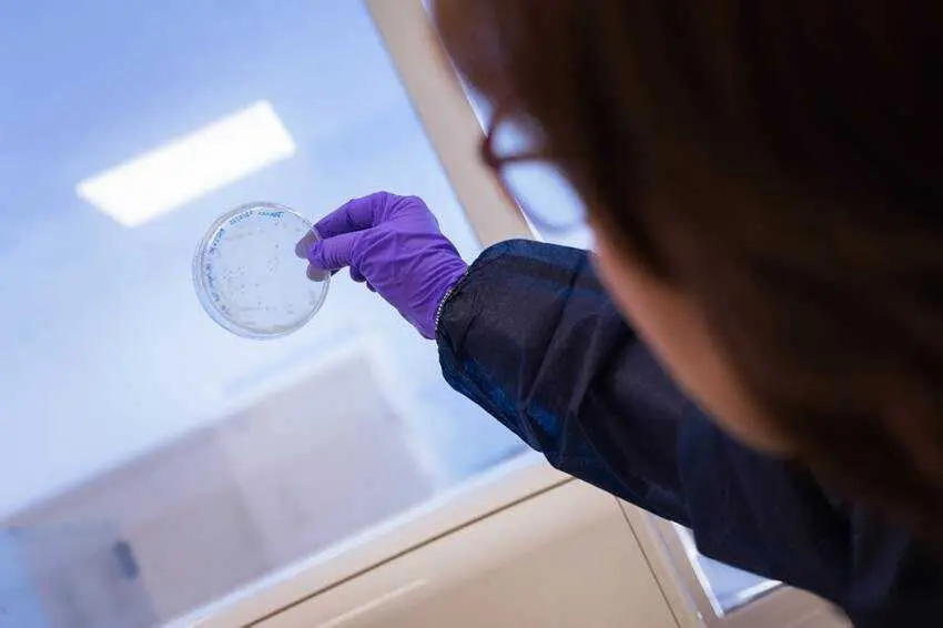 Imagen de un investigador 