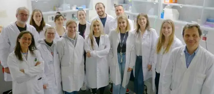 Investigador CIBER Universidad de Valencia