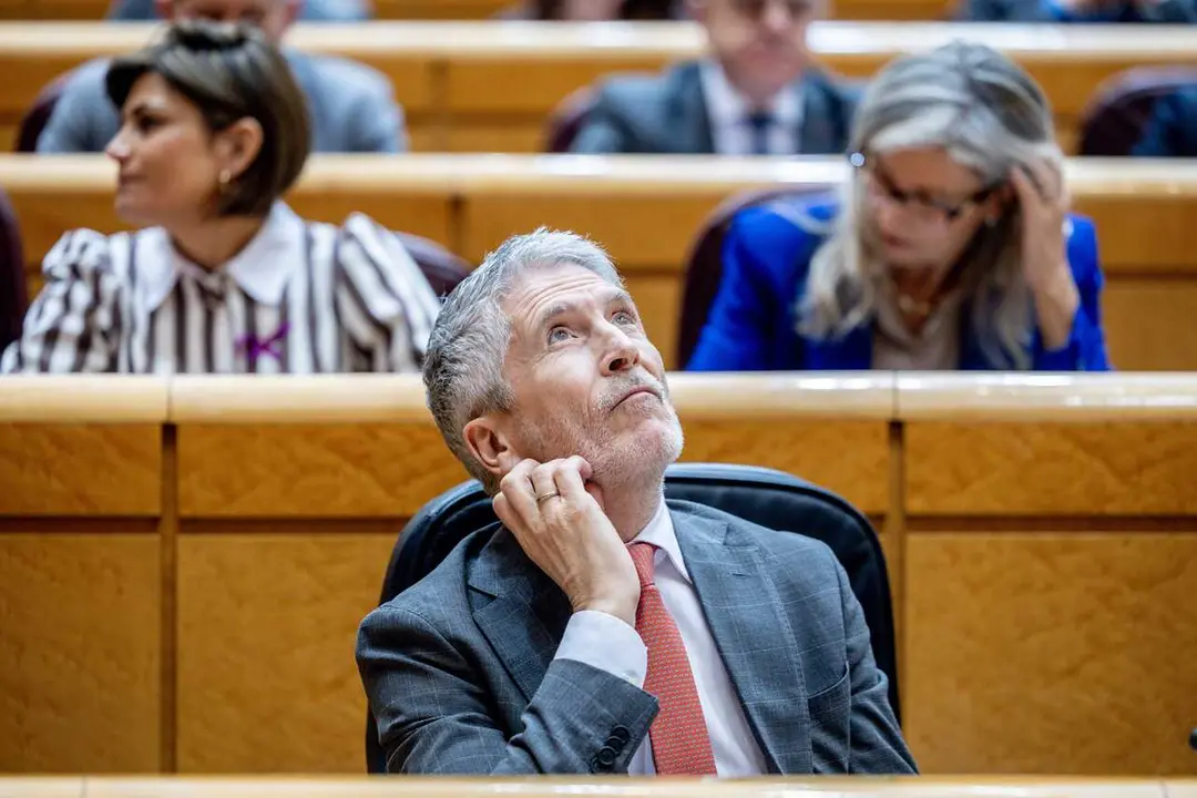 El ministro del Interior, Fernando Grande Marlaska, durante una sesi&oacute;n de control al Gobierno en el Senado