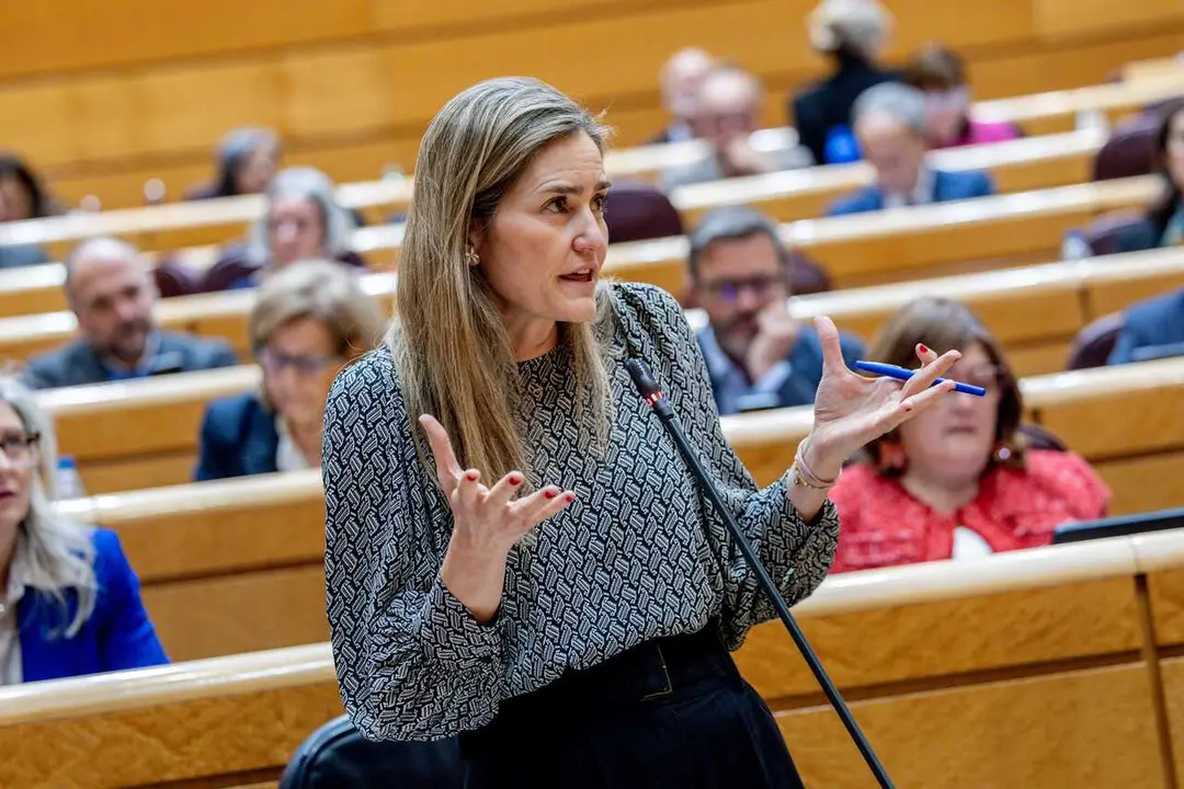La vicepresidenta tercera y ministra para la Transici&oacute;n Ecol&oacute;gica y el Reto Demogr&aacute;fico, Sara Aagesen, durante una sesi&oacute;n de control al Gobierno en el Senado, a 3 de marzo de 2026, en Madrid (Espa&ntilde;a). 
