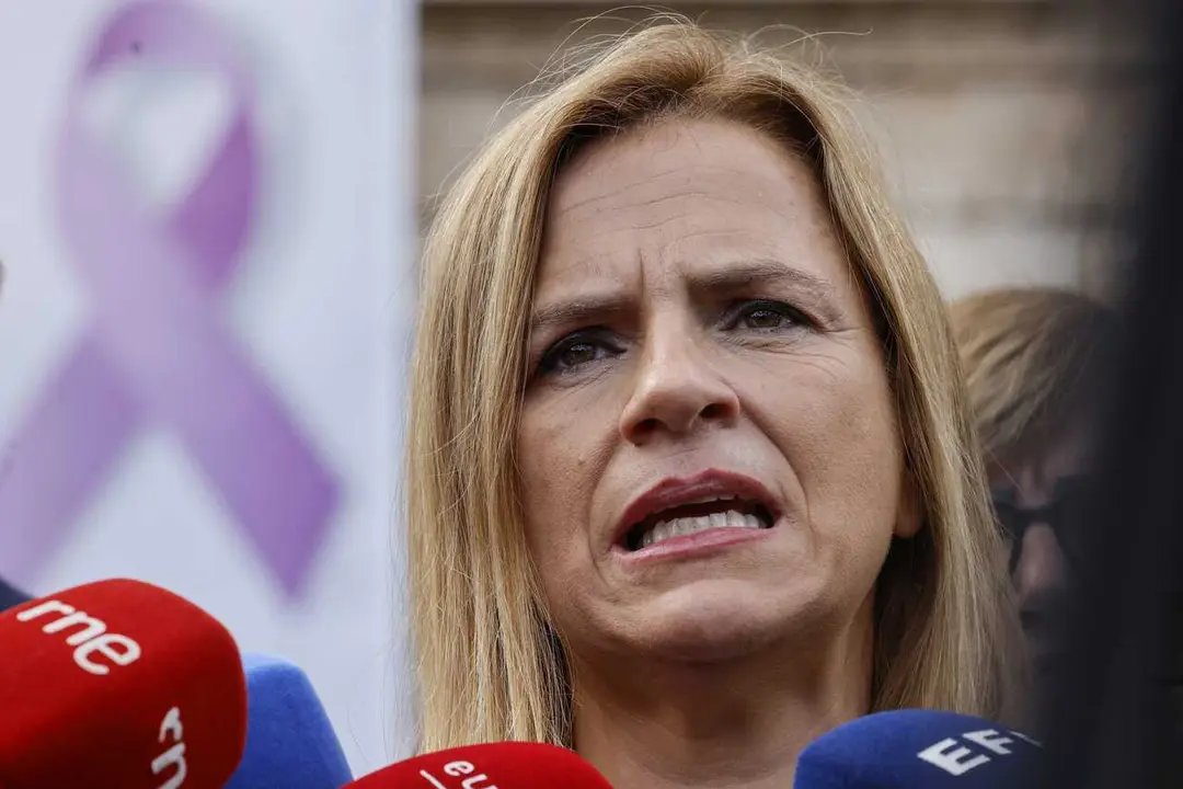 Archivo - La delegada del Gobierno en la Comunitat, Pilar Bernab&eacute;, atiende a los medios.