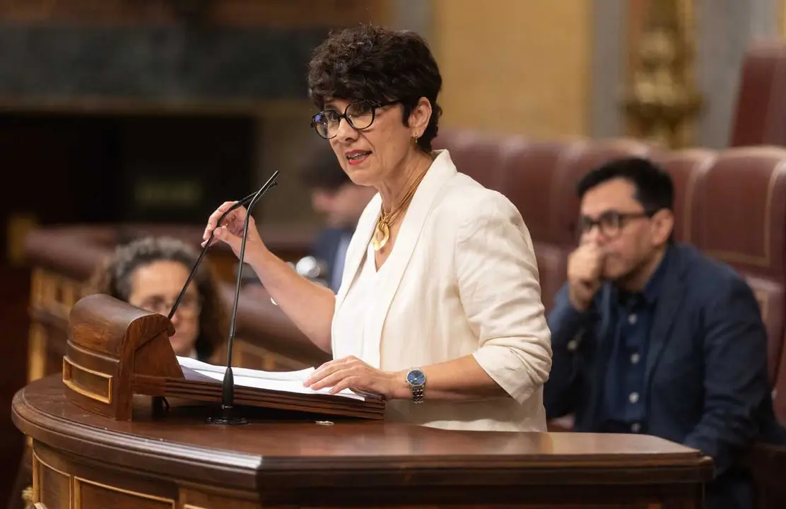 Archivo - La portavoz del PNV en el Congreso, Maribel Vaquero