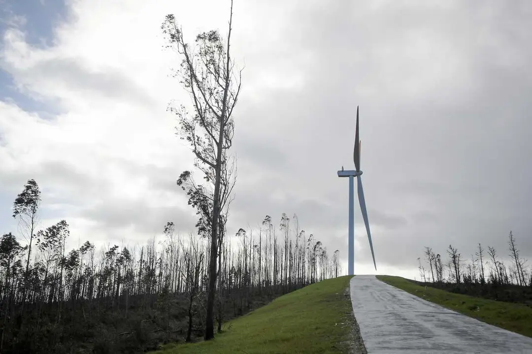 Parque e&oacute;lico de Mondego, a 19 de febrero de 2026, entre Ribadeo y Trabada, Lugo, Galicia (Espa&ntilde;a). 