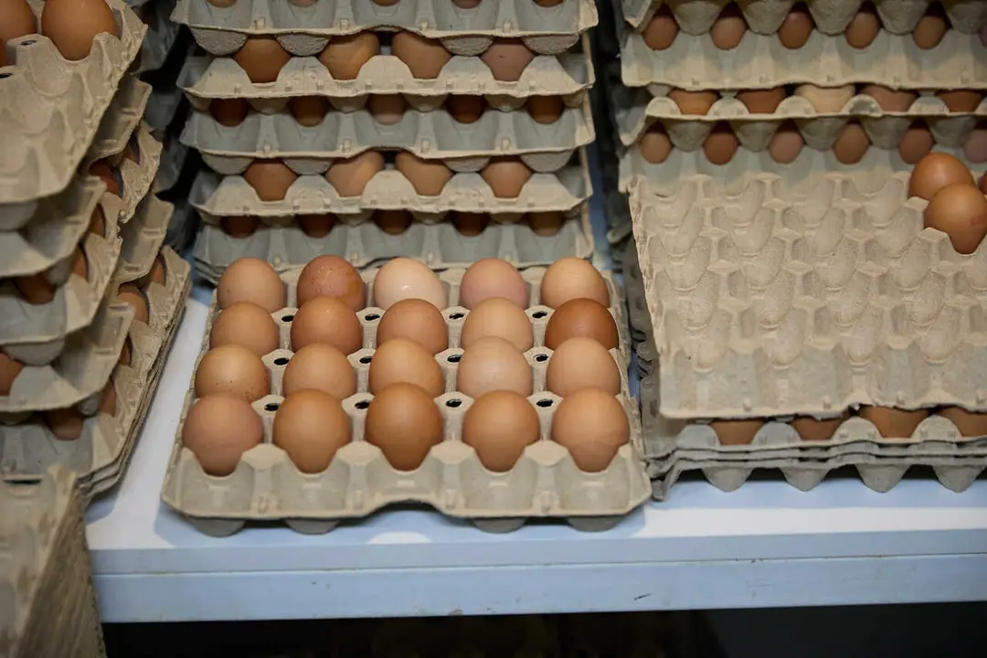 Archivo - Huevos en una tienda 