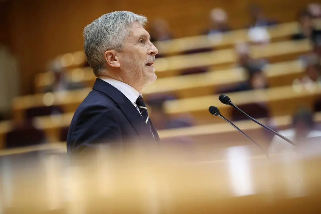 El ministro de Interior, Fernando Grande-Marlaska, interviene durante una sesi&oacute;n plenaria