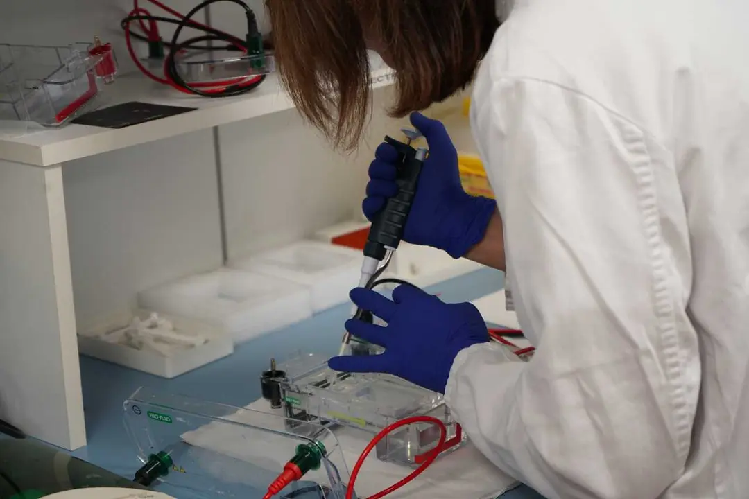 Laboratorio de Inmunolog&iacute;a del VHIR.