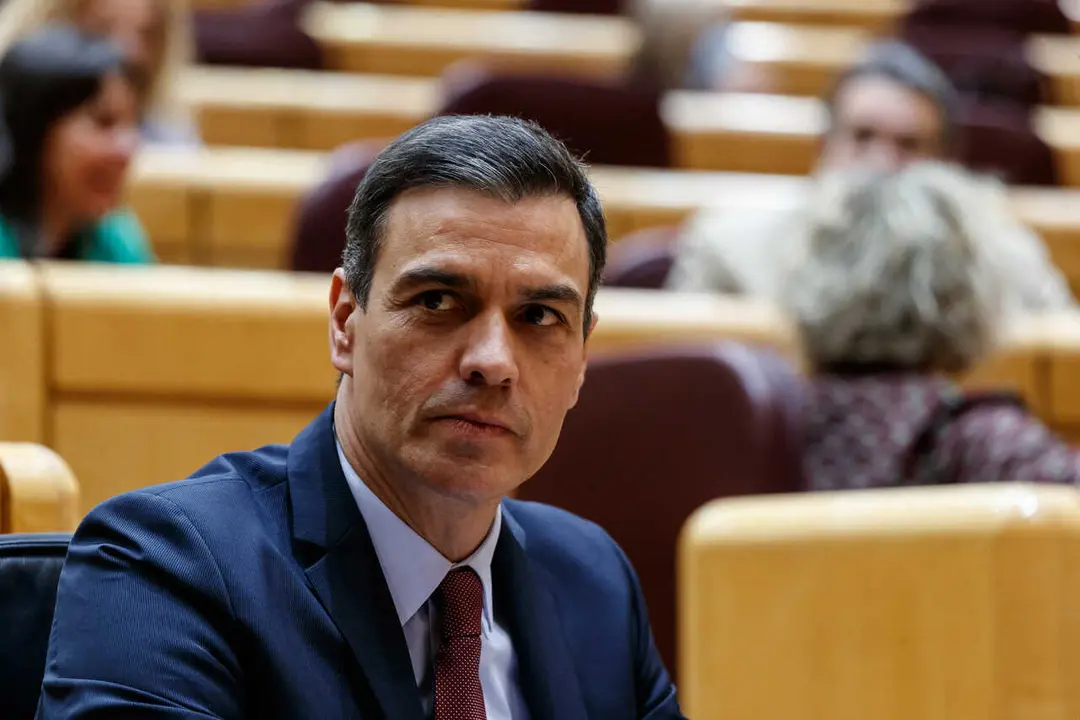 Pleno en el senado Control al Gobierno Pedro Sanchez Presidente del gobierno