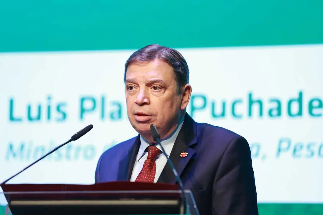 El ministro de Agricultura, Pesca y Alimentaci&oacute;n, Luis Planas