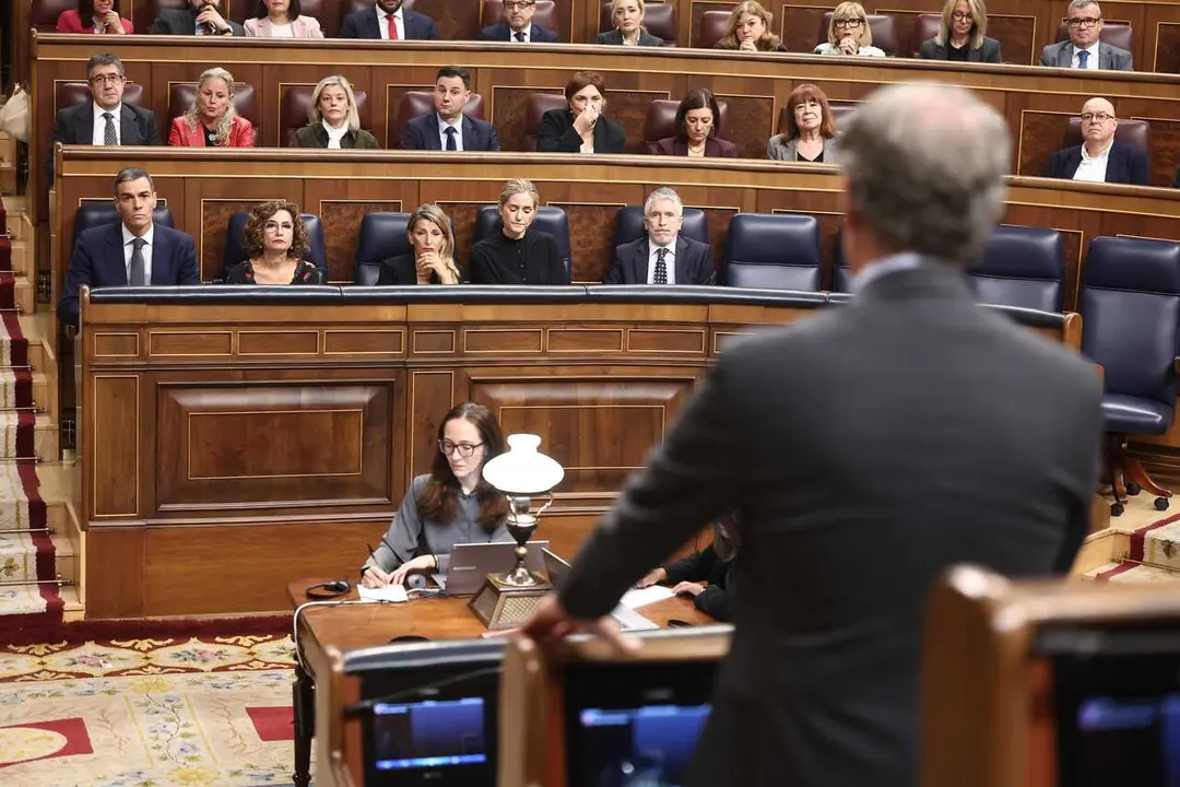 Archivo - El presidente del PP, Alberto N&uacute;&ntilde;ez Feijo (de espaldas), el presidente del Gobierno, Pedro S&aacute;nchez, junto a otros ministros en el Pleno del Congreso.