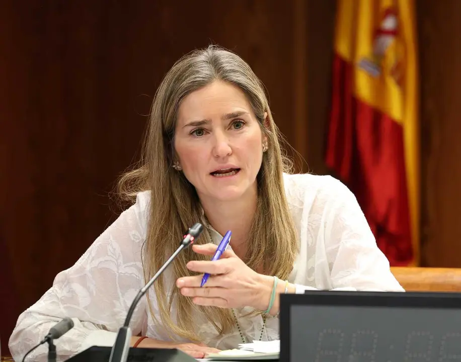 La ministra para la Transici&oacute;n Ecol&oacute;gica y el Reto Demogr&aacute;fico, Sara Aagesen, comparece ante la Comisi&oacute;n de Investigaci&oacute;n sobre el apag&oacute;n, en el Senado, a 23 de marzo de 2026, en Madrid (Espa&ntilde;a). Aagesen ha comparecido ante la Comisi&oacute;n de Investigaci&oacute;n so