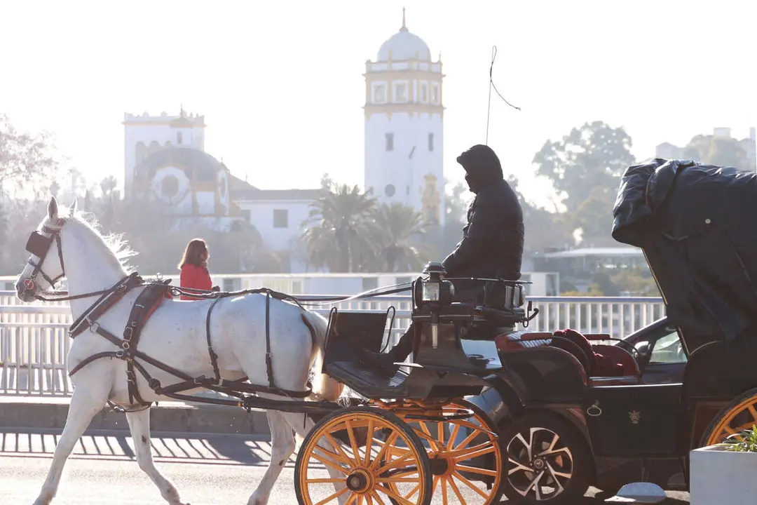 Archivo - Una cochero se abriga para protegerse del fr&iacute;o en Sevilla (Andaluc&iacute;a, Espa&ntilde;a). 