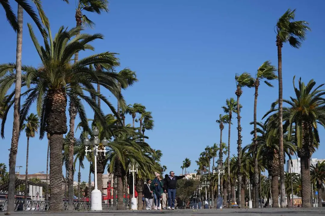 Archivo - Varias personas caminan durante el temporal por viento, a 12 de febrero de 2026, en Barcelona, Catalunya (Espa&ntilde;a)