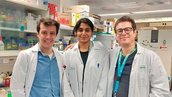 El equipo a cargo del estudio.