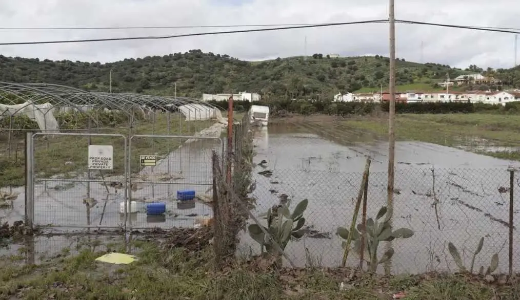 Campo afectado por el temporal