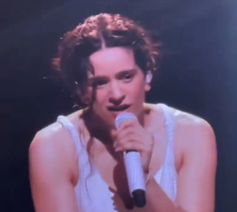 Rosal&iacute;a en el concierto de Barcelona