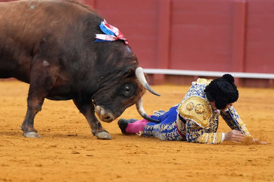 Cogida de Morante de la Puebla en la d&eacute;cima corrida de la Feria de Sevilla. 