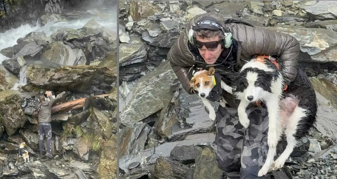 Sobrevive a una ca&iacute;da en la monta&ntilde;a y su perro es rescatado con helic&oacute;ptero