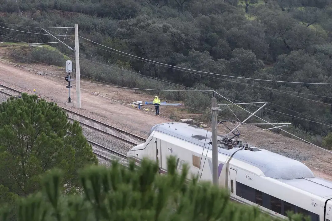Archivo - Imagen de un tren AVE de Renfe a su paso por el tramo de v&iacute;a, completamente restaurado, donde ocurri&oacute; el tr&aacute;gico accidente del pasado 18 de enero en Adamuz (C&oacute;rdoba).