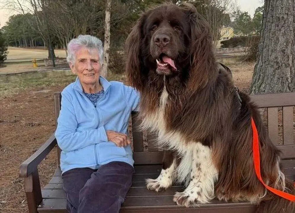 Barbara Collins y su perro Chewy