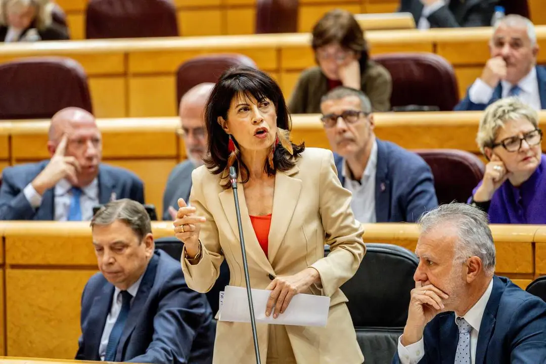 Archivo - La ministra de Igualdad, Ana Redondo, interviene durante una sesi&oacute;n de control al Gobierno en el Senado, a 3 de marzo de 2026, en Madrid (Espa&ntilde;a). 