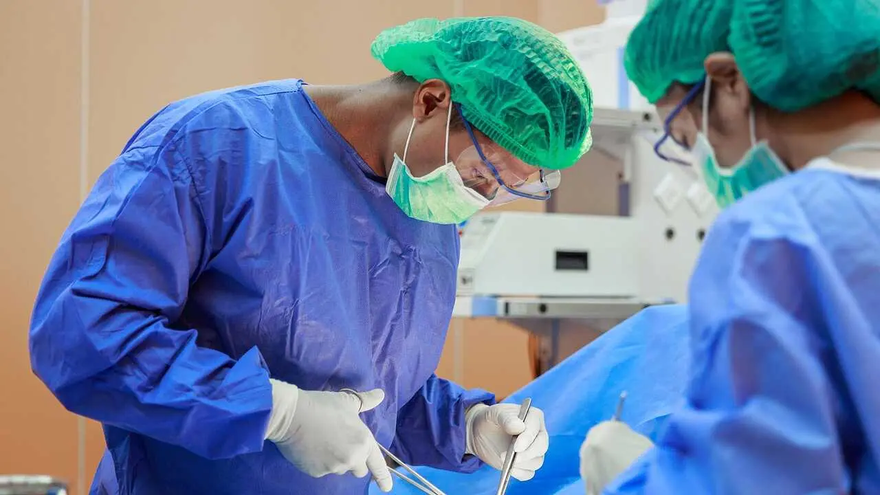 Transplante de m&eacute;dula en Espa&ntilde;a