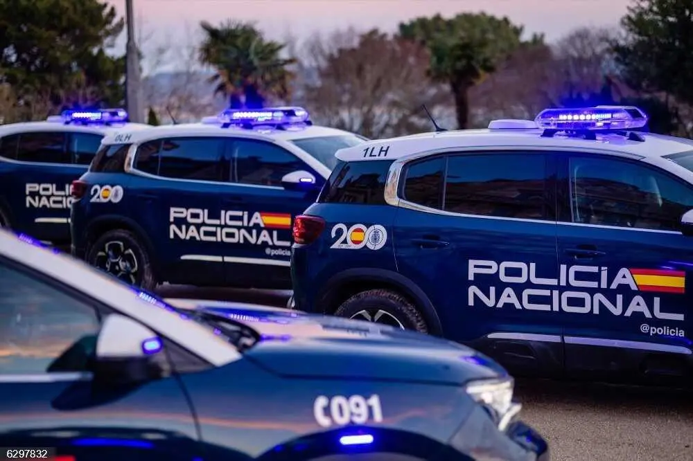 Archivo - Coches de la Polic&iacute;a Nacional.