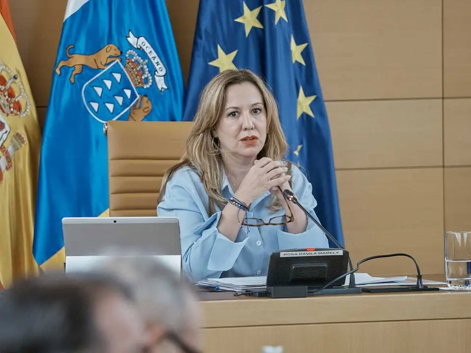 Archivo - Rosa D&aacute;vila, presidenta del Cabildo de Tenerife, en un pleno