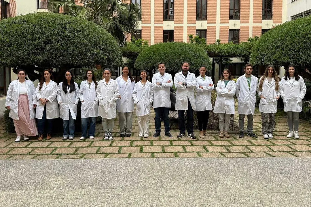 Grupo de investigaci&oacute;n