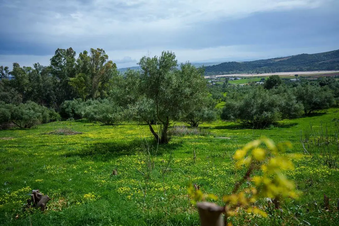 Archivo - La localidad gaditana de arcos de la Frontera 