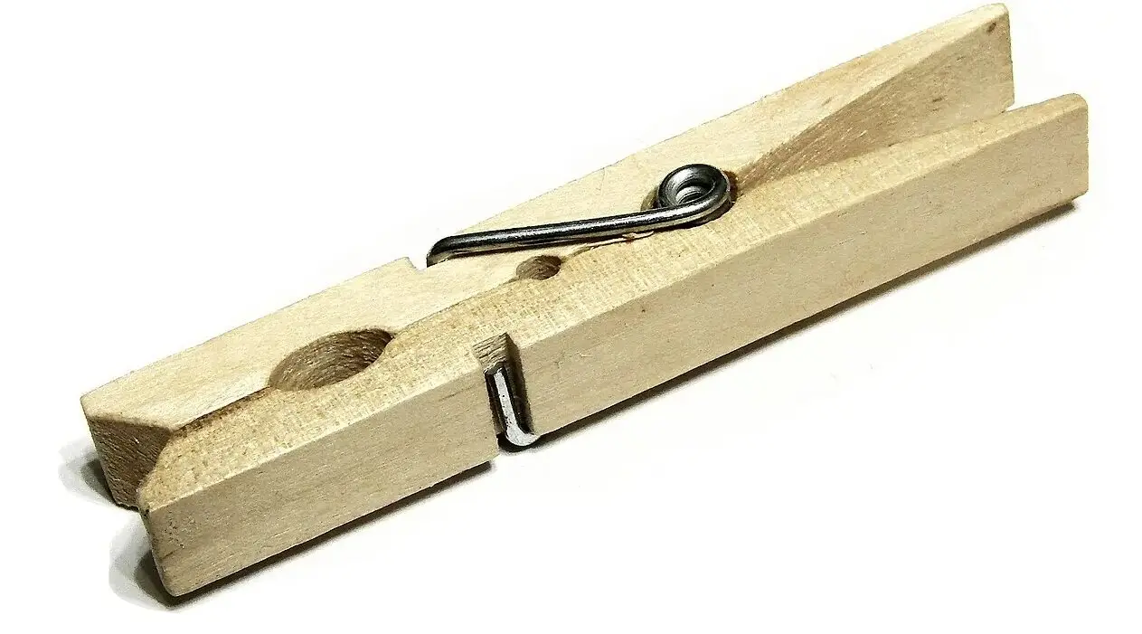 Pinza