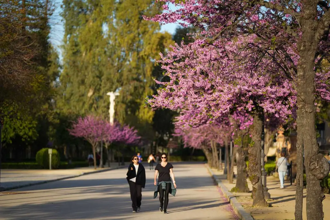 Archivo - Las altas temperaturas se imponen en la pen&iacute;nsula. 