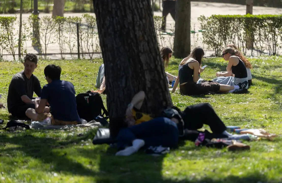 Archivo - Un grupo de personas sentadas en el c&eacute;sped de un parque, a 17 de marzo de 2026, en Madrid (Espa&ntilde;a). 