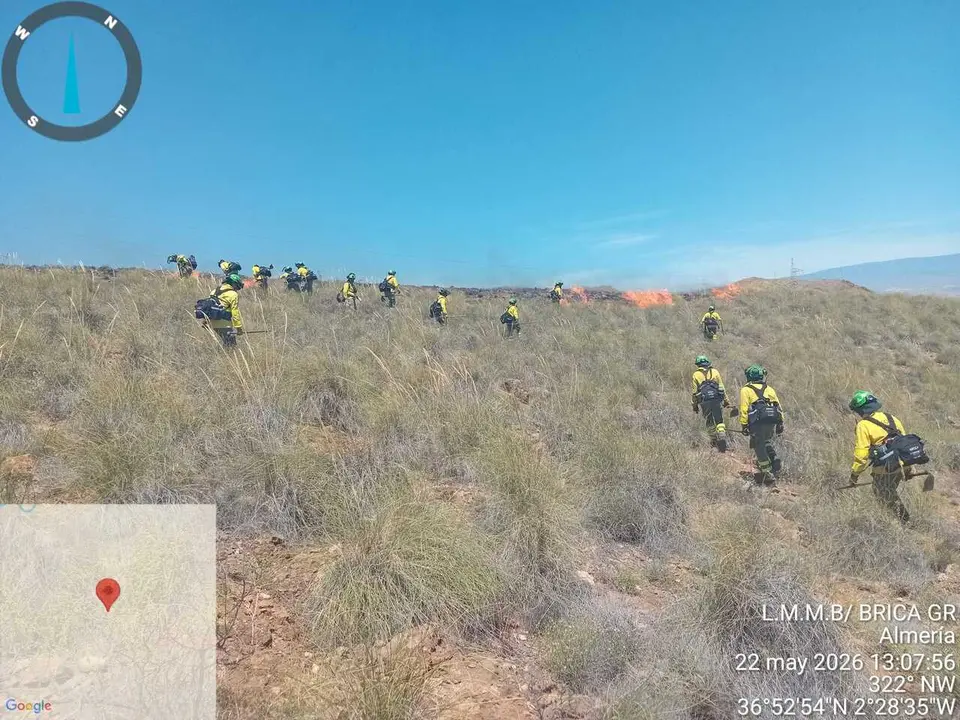 Bomberos forestales trabajan para sofocar el incendio de Almer&iacute;a.