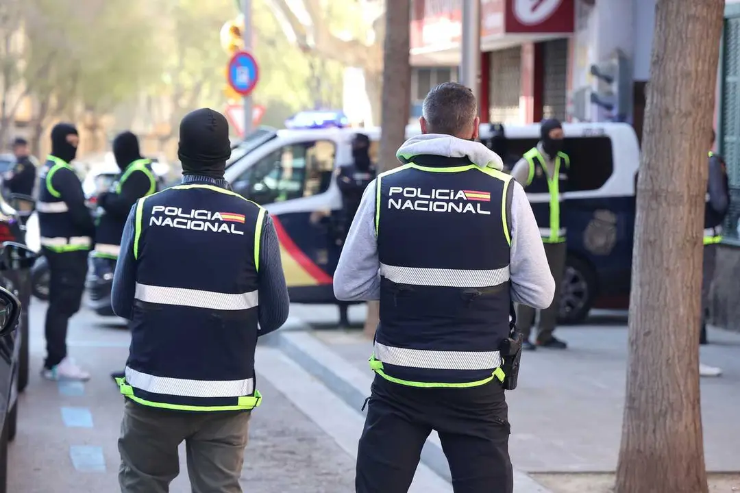Archivo - Agentes de la Polic&iacute;a Nacional en Palma. 