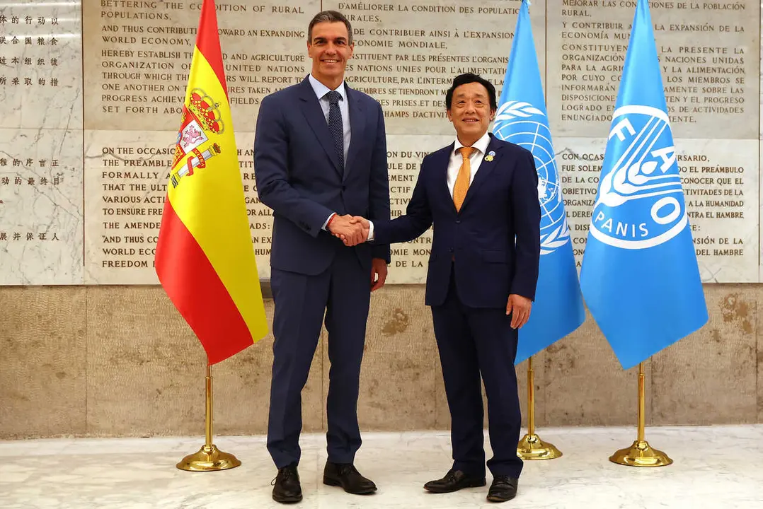 El presidente del Gobierno, Pedro S&aacute;nchez, y el director general de la FAO, Dongyu Qu, durante un encuentro en Roma