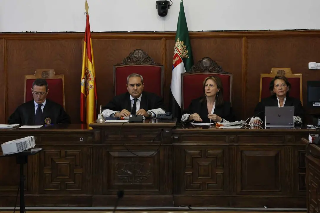 El presidente de la Sala, Jos&eacute; Antonio Patrocinio, en el juicio por la contrataci&oacute;n de David S&aacute;nchez en la Diputaci&oacute;n de Badajoz 