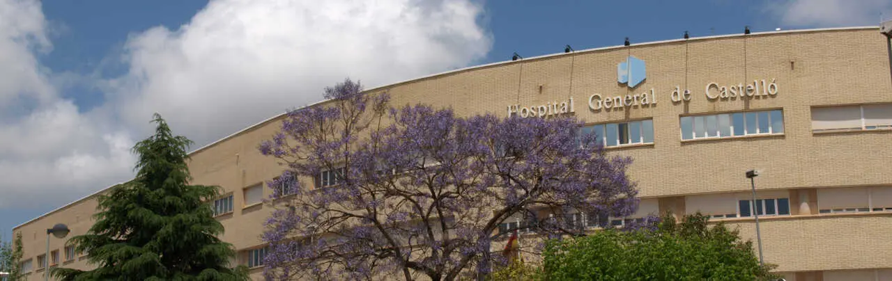 Archivo - Hospital General de Castell&oacute;n