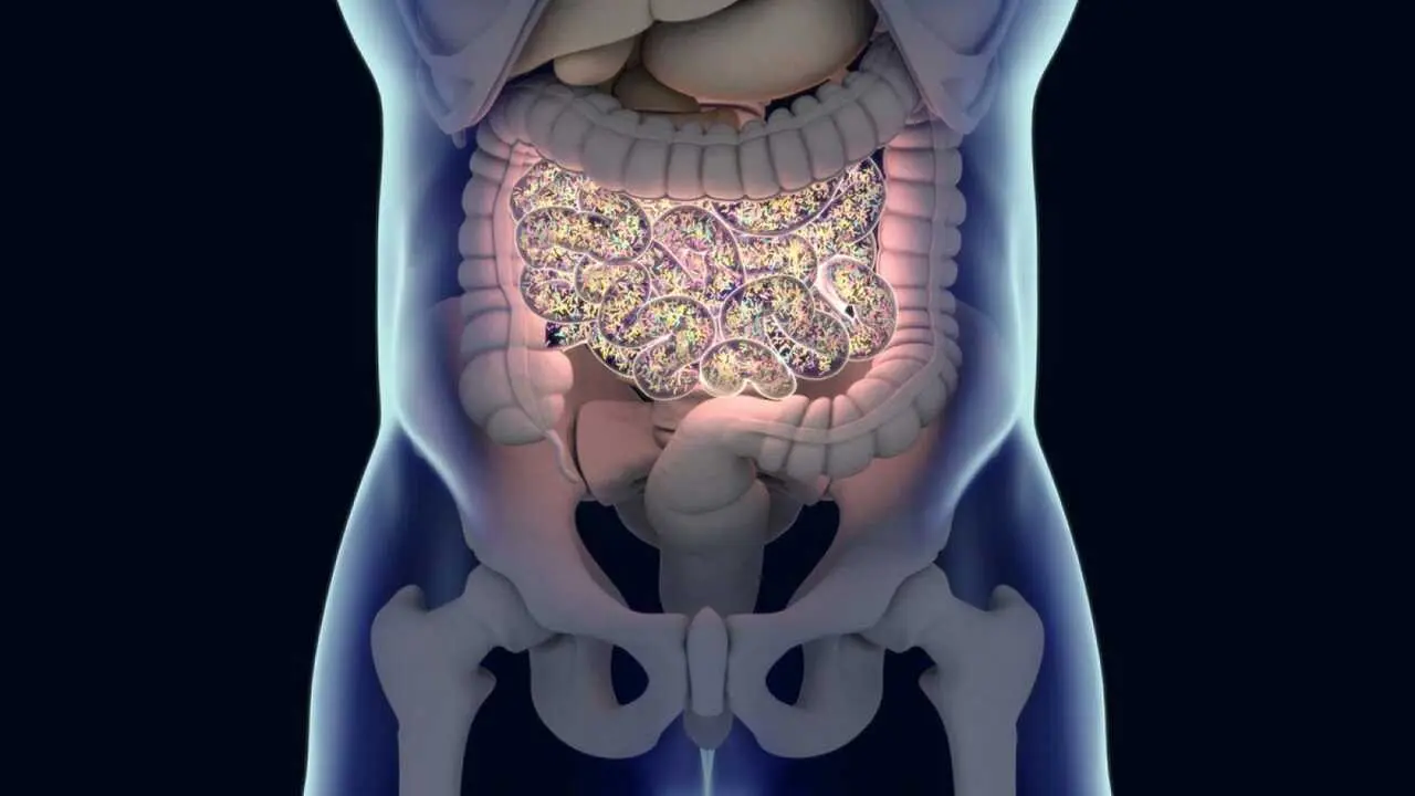 Cambios en la microbiota intestinal podr&iacute;an aumentar el riesgo de c&aacute;ncer colorrectal