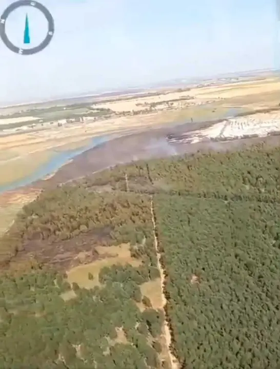 Incendio forestal de Gibrale&oacute;n.