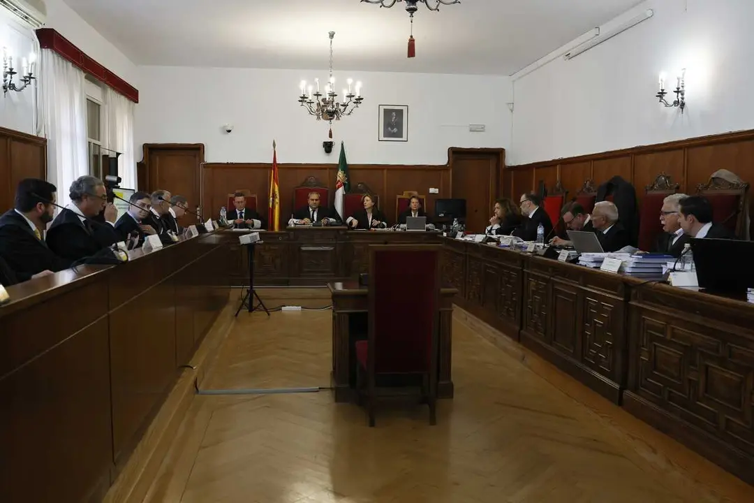 Juicio al hermano de Pedro S&aacute;nchez en Badajoz 