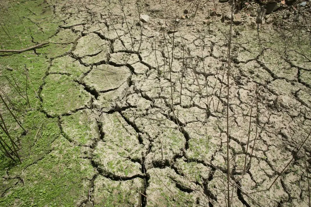 Portomarin y Paradela, Lugo. El embalse de Belesar, el m&aacute;s grande de Galicia, comienza a mostrar niveles por debajo de su caudal habitual en estas fechas. Varias de las aldeas sumergidas en las aguas del R&iacute;o Mi&ntilde;o comienzan a emerger con el avance de la sequ&iacute;a. En la imagen, cauce seco del R&iacute;o da Barrela en su desembocadura en el R&iacute;o Mi&ntilde;o en Portomarin, en la tarde del jueves 3 de agosto