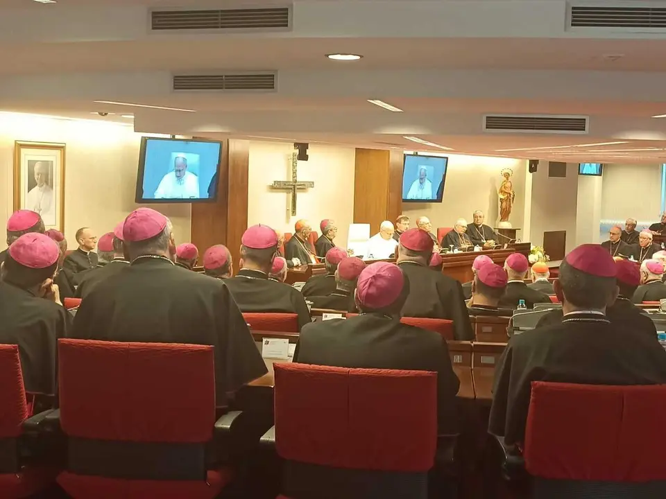 El Papa Le&oacute;n XIV ha llamado a los obispos espa&ntilde;oles que a responder con la 'escucha' y la 'reparaci&oacute;n' a quienes 'han sido heridos precisamente por quienes deb&iacute;an cuidarlos, incluso por miembros del clero', lo que considera una 'plaga'.