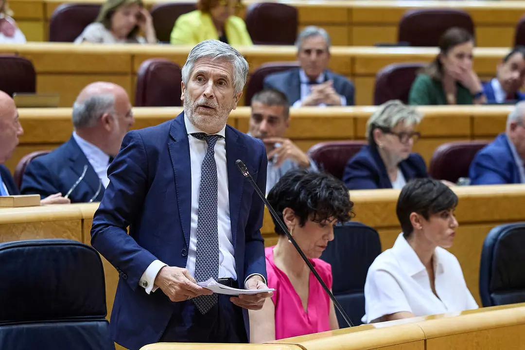 Fernando Grande-Marlaska, Ministro del Interior, durante una sesi&oacute;n de control al Gobierno, en el Senado