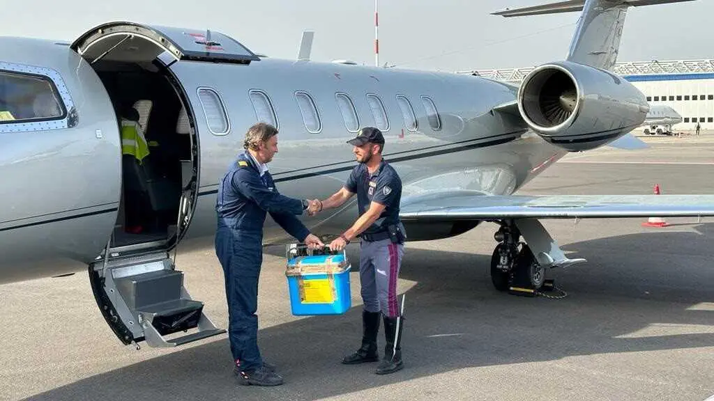 Archivo - La ONT traslad&oacute; en 2025 un total de 1.045 &oacute;rganos para trasplante por v&iacute;a a&eacute;rea, 114 menos que en 2024 