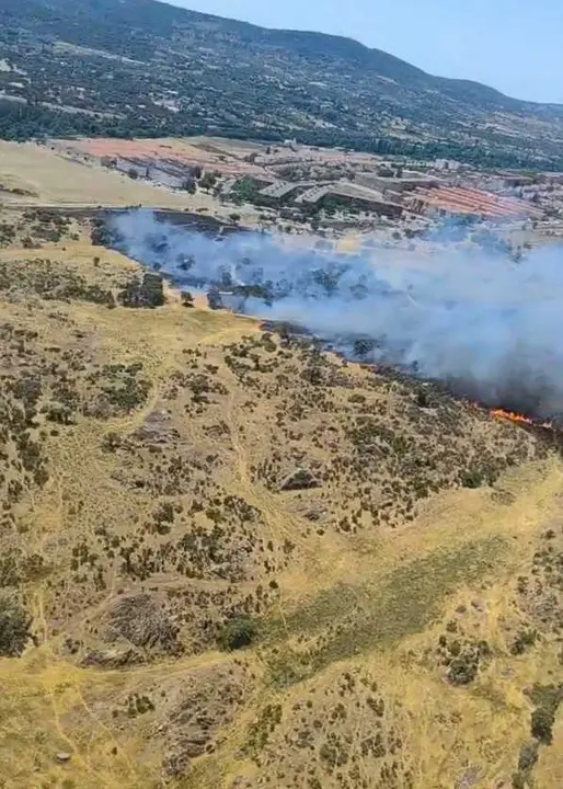 Incendio forestal en Plasencia (C&aacute;ceres), a 13 de junio de 2026.