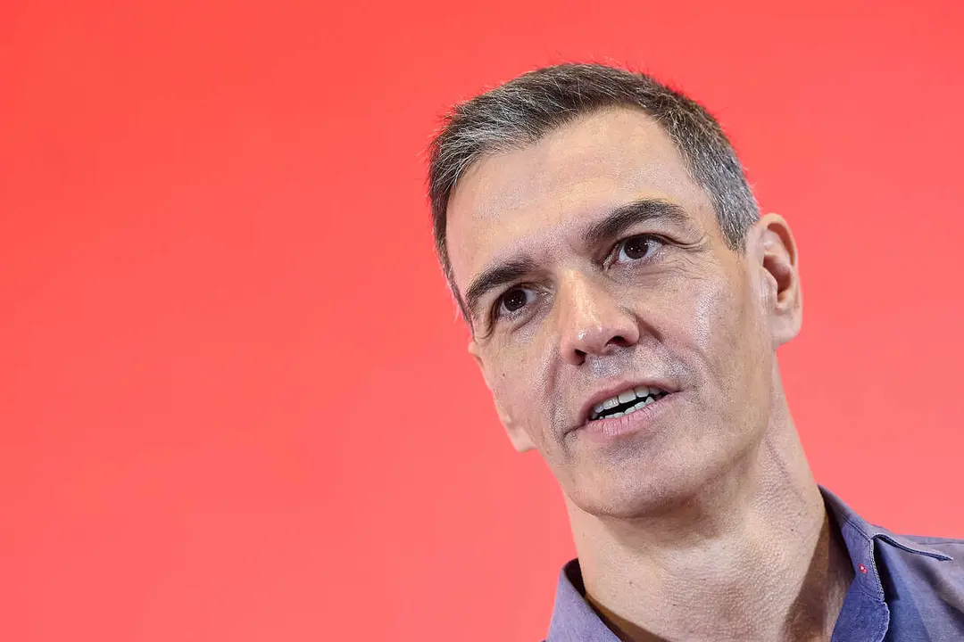 El secretario general del PSOE y presidente del Gobierno, Pedro S&aacute;nchez.