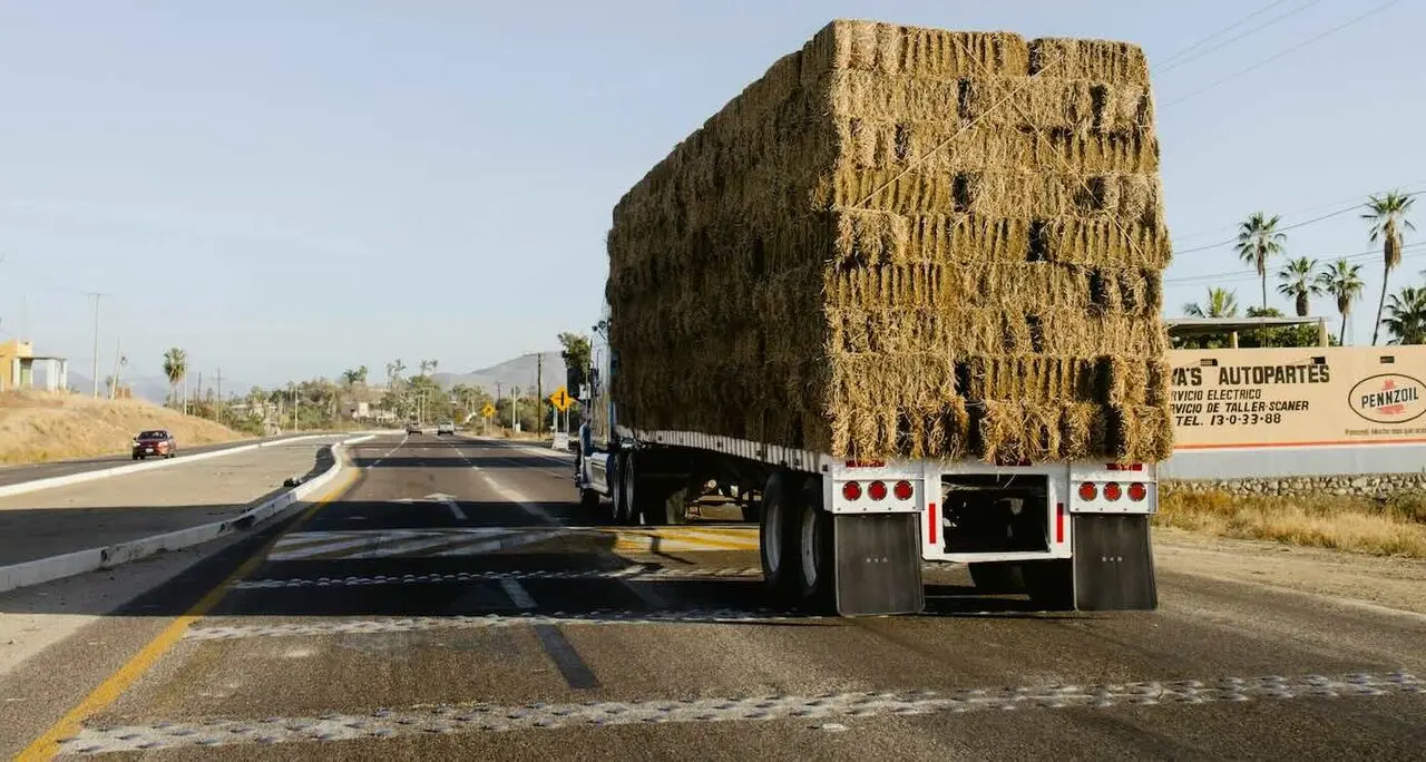 Solidaridad nacional ayuda a rancheros de Nebraska tras incendio hist&oacute;rico